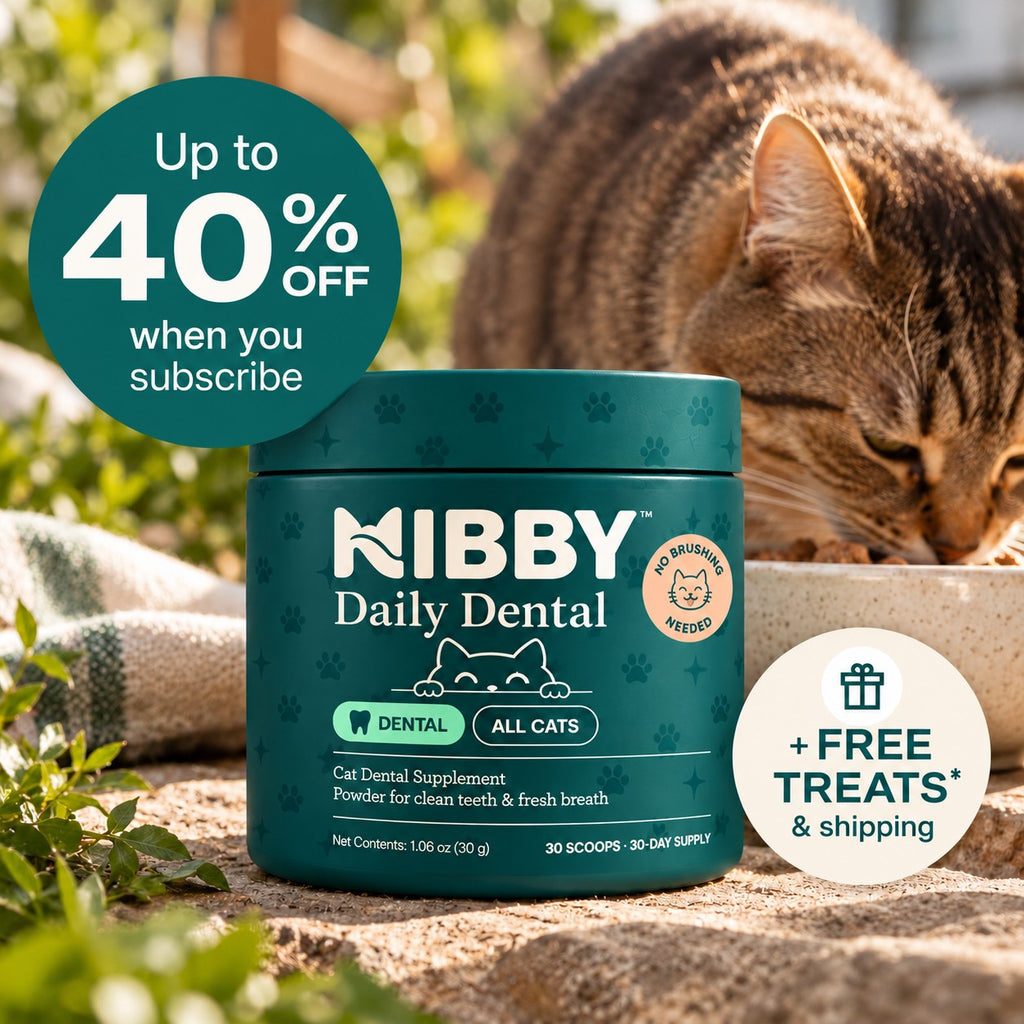 NIBBY Daily Dental jar beside a cat eating from its bowl