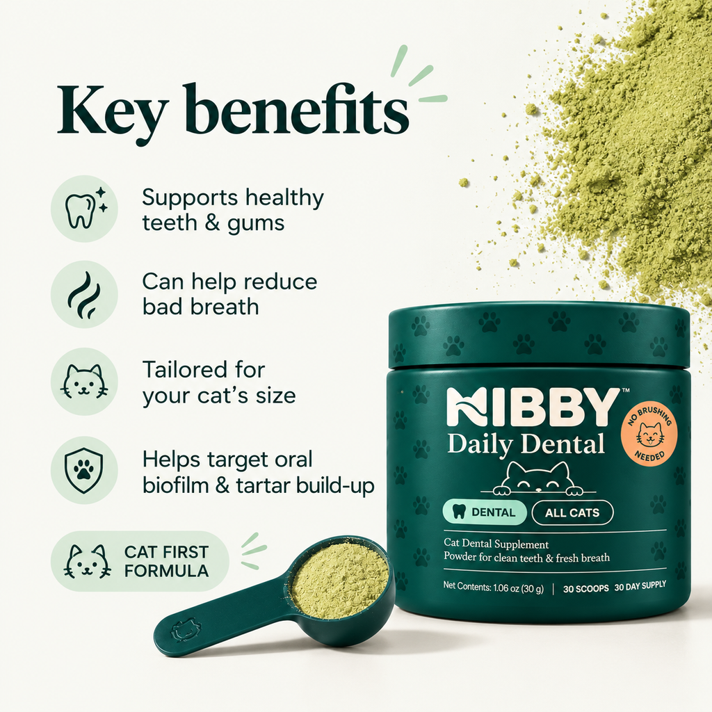 NIBBY Daily Dental key benefits, with the jar and scoop of powder