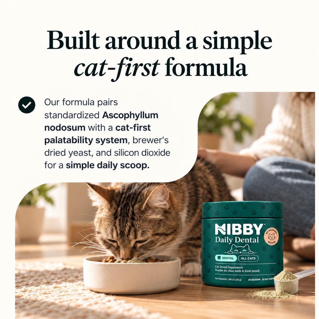Cat eating from its bowl next to the NIBBY Daily Dental jar: a simple cat-first formula