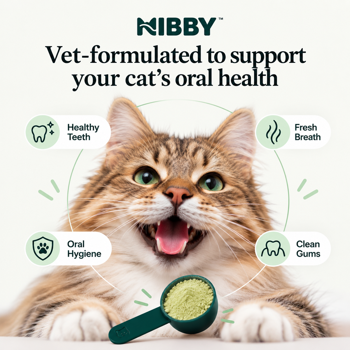 Happy cat with a scoop of NIBBY powder: support for teeth, breath and gums