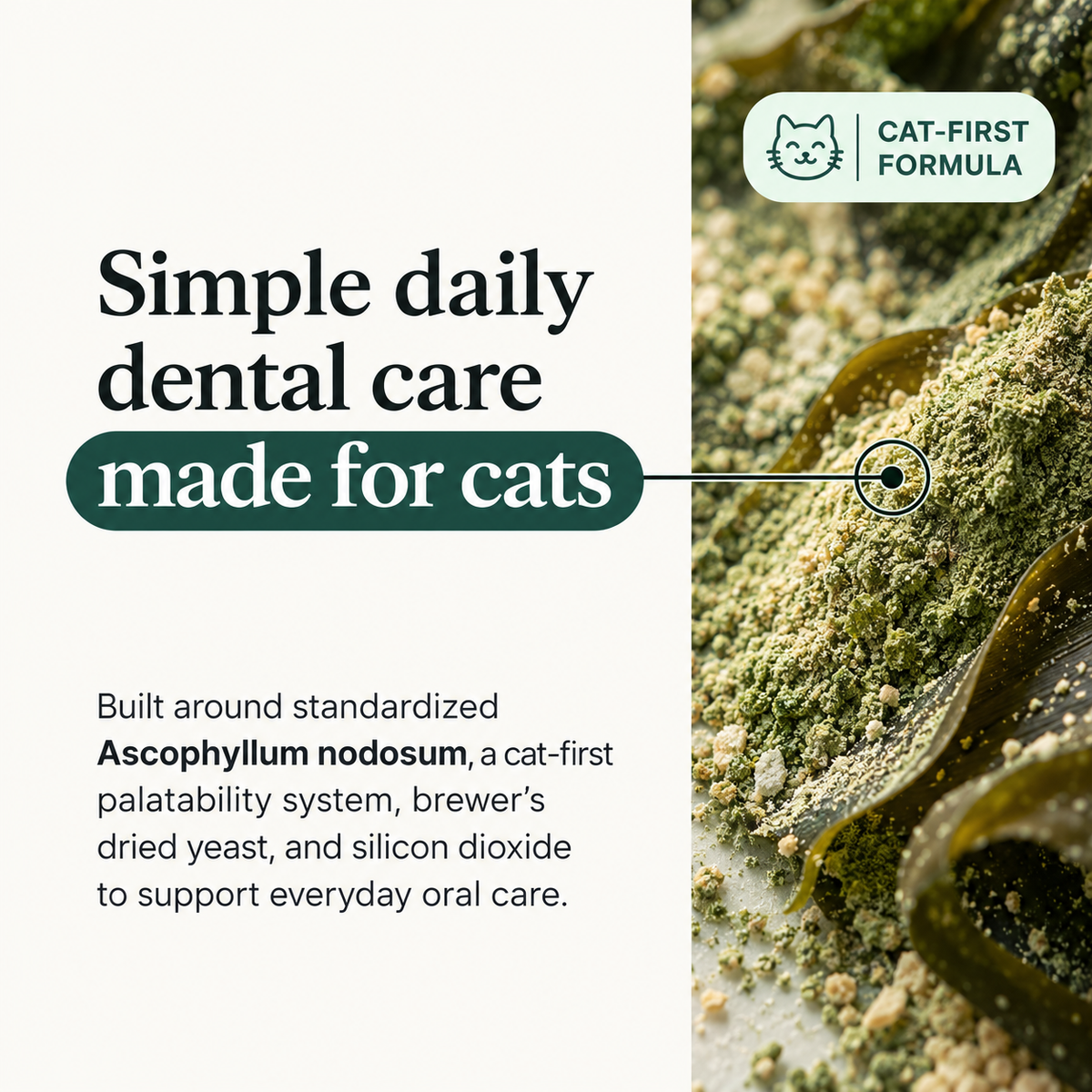 Simple daily dental care made for cats: NIBBY Daily Dental powder