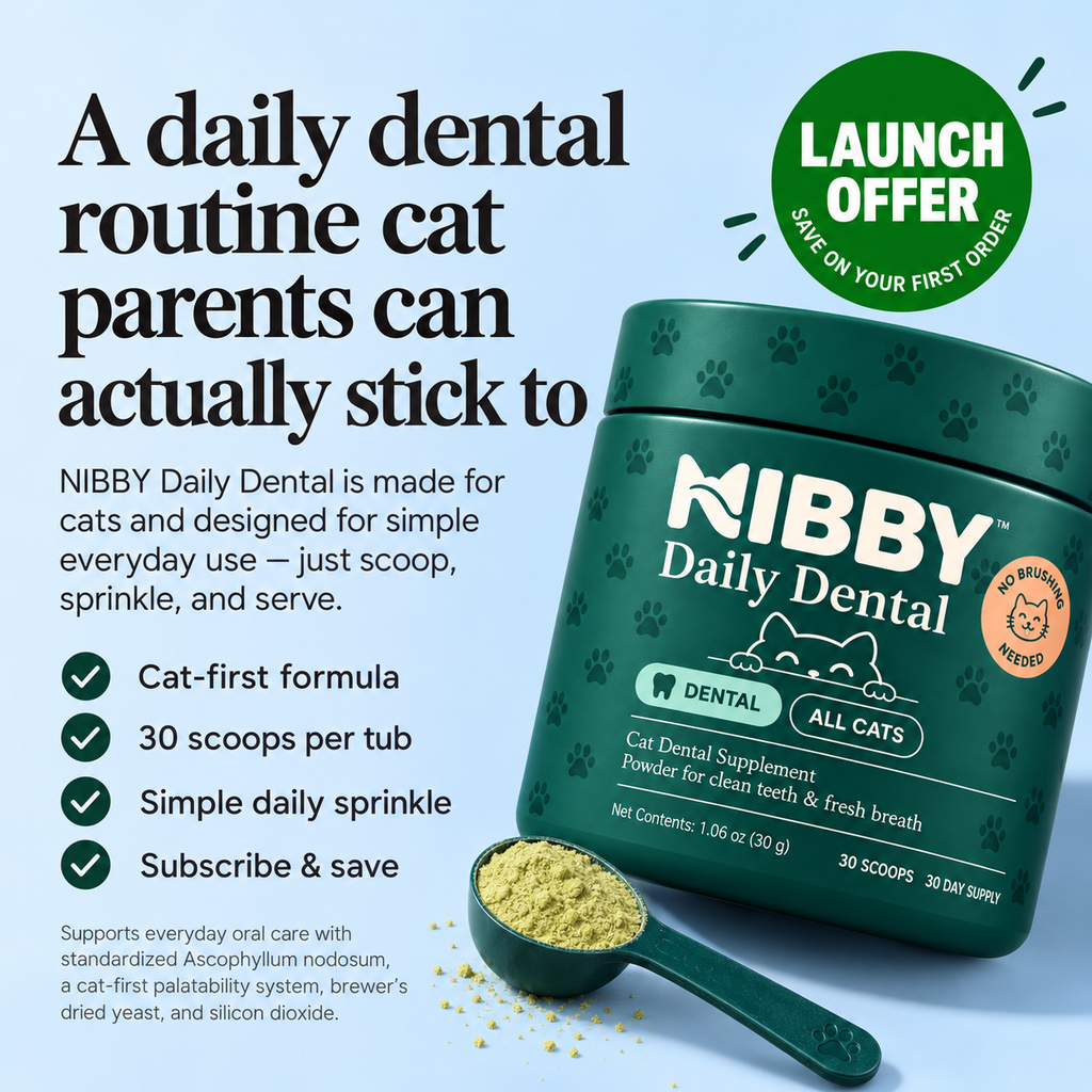 A daily dental routine cat parents can actually stick to: NIBBY Daily Dental